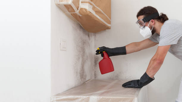 Professional Mold Testing technician working in North, VA