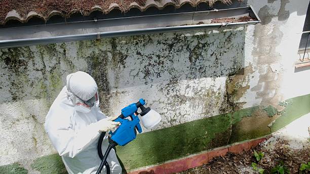 Trusted Mold Testing service in North, VA - Cheap Mold Removal